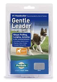 PetSafe® Gentle Leader® Training Dog Headcollar, Medium, 25-60 lbs
