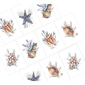 Sea Shell Greeting Cards - Set of 10 All Occasion 5 x 7 Note Cards with Envelopes. Blank Inside. Watercolor Designs of Seashells, Starfish and Coral