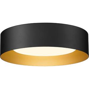 AUTELO Flush Mount Ceiling Light, 14" Frosted Glass Shade Close to Ceiling Light Fixture in Black Finish E26 Socket for Living Room Hallway Bedroom C3336XS BK