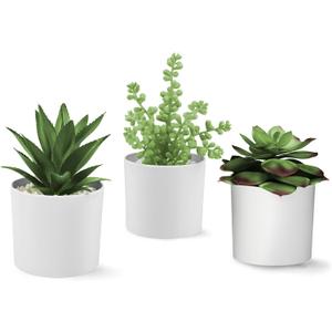 Hopewood Succulent Plants Artificial in White Pots Small Faux Potted Succulents Fake Plants in Vase Set of 3