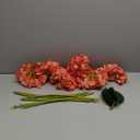 Coral Hydrangea Artificial Flowers,6 Pcs Faux Hydrangea Flowers,Artificial Hydrangeas Flowers with Stems,Fake Hydrangeas,Hydrangea Silk Flowers Color with Stems for Home Decor (6, Coral)
