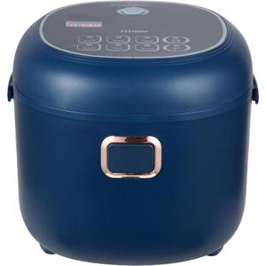 Mini Rice Cooker, 2L Portable Travel For Car/Truck/Home, 12V/24V/110V Small with Steam Tray(Blue)
