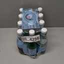 S.Pellegrino Sparkling Natural Mineral Water, Plastic Bottles, 16.9 Fl Oz (Pack of 12) (EXP 08/04/26)