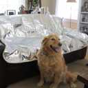 Pet Repellent Mat - Non Electric Cat & Dog Deterrent Mat - Keeps The Pet Paws Off The Furniture!