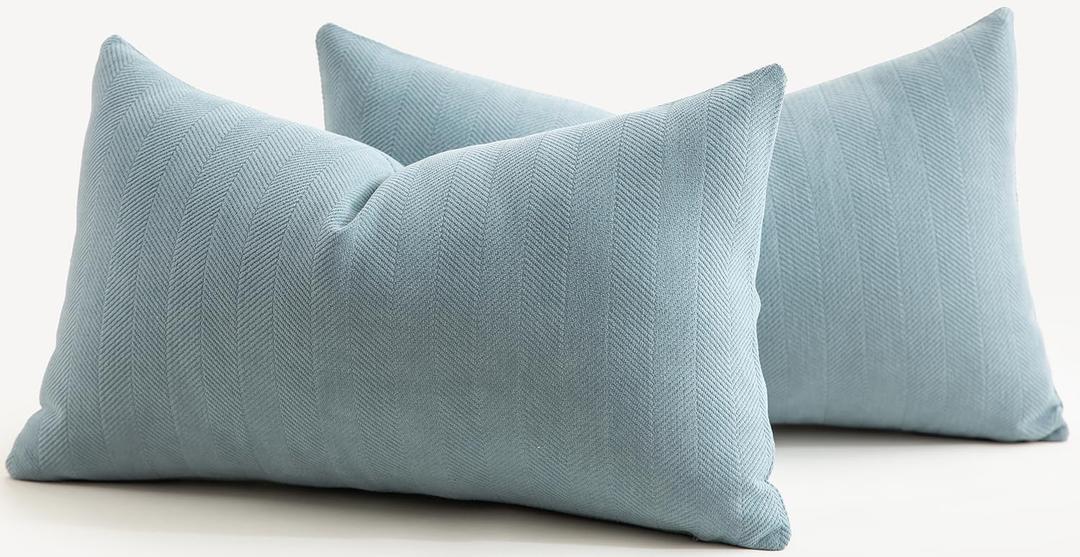 MANDIOO Pack of 2 Chenille Throw Pillow Covers Elegant Design Soft and Luxurious Decorative Cushion Covers Pillowcase Couch Sofa Bedroom Living Room Home Decor 12x20 Inch Light Blue