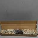 Hananona 10 Pcs Babys Breath Artificial Flowers Real Touch Fake White Flowers Silk Flowers for Spring Wedding Decor Indoor Floral Arrangement Table Centerpieces Home Decor (White, 10)