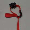 PetSafe Basic Bark Control Collar - Effective & Accurate Bark Detection Collar - Safe & Reliable Training with Multiple Static Stimulation Levels - Waterproof & Battery-Operated