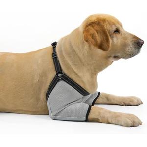 Coodeo Dog Elbow Protector with Adjustable Harness, Soft Breathable Sleeves for Wound Healing & Licking Prevention, D-Rings for Leash, Elbow Pads for Comfort, Designed for Large Dogs (Grey, L)