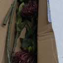 Hollyone 3Pcs Red Artificial Flowers Mums Fall Spider Mum Flower Silk 28.3'' Long Stem Fake Chrysanthemum Flowers Leucospermum Cordifolium Arrangement Faux Pincushion Flowers Bouquet Home Decor