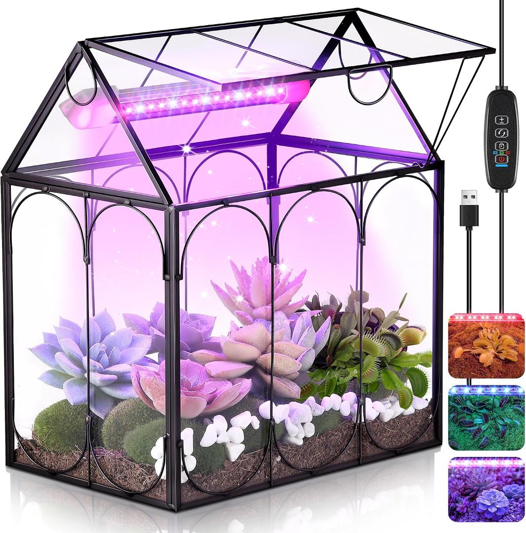 Mini Glass Venus Fly Trap Terrarium with Grow Light 9.8"x5.9"x 9"