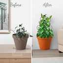 3-Pack 14 Inch Small Trellis for Potted Plants, Metal Plant Trellis for Plants Indoor - Garden Trellis for Houseplants, Plant Support for Ivy, Pothos, Monstera, Hoya, Vines (Black, 14inch/3 Pack)