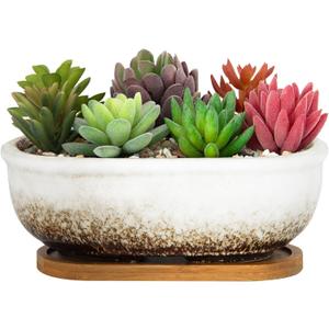 ARTKETTY Succulent Pots, 7.9'' Large Ceramic Pots for Indoor Cactus Plants, Shallow Succulent Planters with Drainage Tray, Oval Bonsai Plant Container Bowl Garden Home Windowsill Decor