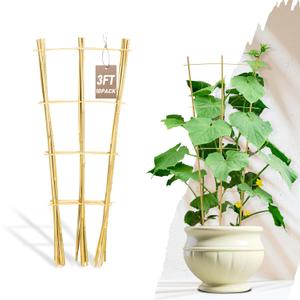 Avalution 10 Pack Bamboo Trellis for Climbing Plants, 3 FT Garden Ladder Trellis for Potted Plants Indoor, Fan-Shaped Small Plant Support Trellis for Houseplants Ivy Hoya Vine Monstera