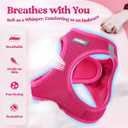 Rabbitgoo Dog Harness Small Sized and Leash Set, Step in Soft Light Puppy Vest, Breathable Mesh Pet Harness, Reflective for Safe Easy Walking, Rose Red, XXS