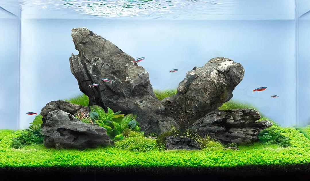 LANDEN Seiryu Stones Natural Rocks (17lbs, 3~11 inches,7-8pcs) for Aquarium, Paludarium, Terrariums, Landscaping Rocks, Aquascaping LANDEN Seiryu Stones Natural Rocks (17lbs, 3~11 inches,7-8pcs) for Aquarium, Paludarium, Terrariums, Landscaping Rocks, Aquascaping