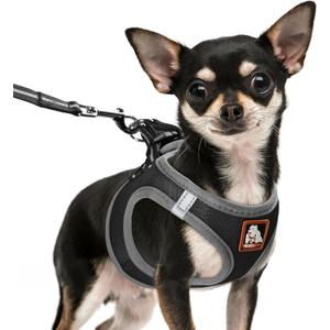 Dog Harness Medium Sized Dogs, Puppy Harness and Leash Set for Training, Running, Walking, Suitable for Medium Dog Vest, Black, M