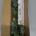 Mixed Eucalyptus Leaves Stems Bulk Artificial Eucalyptus Leaves Sprays Faux Oval Eucalyptus Leaves with White Seeds Stems for Floral Wreath Garland Bouquets Arrangement Wedding Greenery Decoration