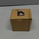 HOMSFOU Ceramic Rocking Horse Ornament Miniature Baby Horse Figurine 3.93 Inch Colorful Home Decor Office Desk Accent Sculpture (Light Green)