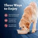 Blue Buffalo Wilderness Adult Wet Dog Food, High-Protein & Grain-Free, Made with Natural Ingredients, Salmon & Chicken Grill, 12.5-oz. Cans, 12 Count