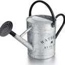 Garutom Galvanized Watering Can for Outdoor Indoor Plants, 1 Gallon Decorative Countryside Style Water Can with Removable Spout, Perfect Metal Watering Can for Indoor Plants and Garden Flower