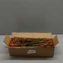 10 Bundle Artificial Fall Boxwood No Fade Faux Autumn Plants (Brown)