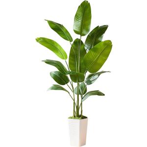 Bird of Paradise Artificial Plant, 6.6FT Faux Plants Indoor Banana Leaf Tree with 13 Leaves, Large Fake Tropical Potted Indoor Silk Floor Plant with White Tall Planter for House,Office,Room,Home Decor