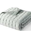 YnM Cooling Weighted Blanket for Adults, 15lbs Heavy Bed Throw Comforter with 100% PE Fabric, Ideal for Hot Sleepers or Summer Days(48x72 Inches for Twin/Full Bed, 15 Pounds,Green)