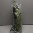 Giant Artificial Boston Ferns for Outdoors Large UV Resistant Lifelike Faux Fern, Realistic Silk Greenery Plants Large for Patio, Office, Home Decor, 88 Branches, 48 in Fake Fern Natural Green