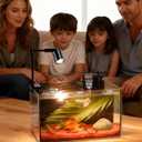 Fish Tank, 3 Gallon Ultra-Clear Glass Fish Aquarium, with Separator Plate for Betta, Fish Tank Starter kit with Filter and Led Light, Black