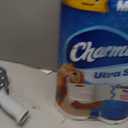 Charmin Ultra Soft Cushiony Touch Toilet Paper, 24 Family Mega = 123 Regular Rolls, White