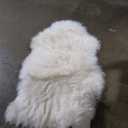 Kopal Genuine Australian Sheepskin Rug, Real Lambskin Area Rug, 2x3 ft Single Pelt, Natural White