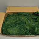 Hananona 4 Pcs 9 Ft Artificial Norfolk Pine Garlands, Realistic Pine Garland, Green Artificial Greenery Garland for Table, Mantle, Wall, Indoor, Outdoor Winter Christmas Decorations (4, 9 FT)