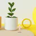 HOMSFOU Wooden Cross Arts Set 10 Pack Rustic Decorative Cross Centerpieces for Tabletop and Hanging Home D Cor Religious Festival Decorations 4.29 X 24 Inches