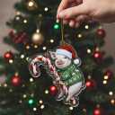 Pig Christmas Ornament 2025 2D Flat  Acrylic Holiday Tree Hanging Decoration  Cute Farm Animal Hugging Candy Cane Ornament, Pig Lover Gift, Rustic Christmas Keepsake 2025