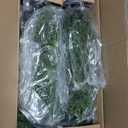 Riceshoot 4 Pcs 1.5ft 2ft Artificial Cedar Topiary Trees for Outdoor Artificial Plants Faux Pine Tree UV Resistant Potted Fake Plants Shrub Bushes for Porch Garden Office Front Door Indoor