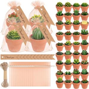 MTLEE 36 Pcs Succulent Candles Decorative Cactus Tealight Candle Tea Lights Handmade Baby Shower Decorations Plant with Mini Terracotta Clay Holders for Wedding Home Party Decor
