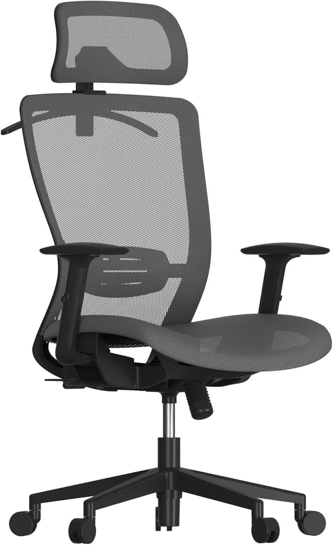 FLEXISPOT Ergonomic Office Chair, High Back Mesh Swivel Computer Chair, Executive Office Desk Chairs, with Adjustable Lumbar Support/2D Headrest/Lockable Backrest, OC3 Mesh Seat, Gray (Grey)