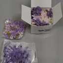 Tigeen 250 Pcs Faux Flower Heads Organza Butterfly Set Includes 200 Silk Daisy 50 Butterfly Embellishments Artificial Flowers Heads 3D Butterflies for DIY(Purple Colors)