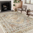 Area Rugs for Living Room,Non-Slip Washable Rugs, Stain Resistant Home Decor Rug (Orange)