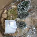 Mini Artificial Small Christmas Trees Tabletop Craft Home Decor Table Mantel Tiered Tray Ornaments, Festive Gift for Wife Kids Collectors