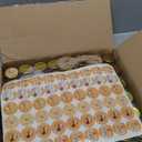 Encheng 1.5oz Mini Glass Jars Bulk Set of 70,Round Small 45ml Honey Jars with Golden Lids,Clear Mini Storage Canning Jar for Candle Making,Spice,Jelly,Jam,Wedding,Party Favor