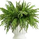 PURPLE STAR 1N 20 Pcs Christmas Norfolk Pine Branches, 19" Extra Length Artificial Xmas Branches Plants Pine Needles, Fake Greenery Norfolk Pines Stems Sprigs for DIY Craft Garland Home Garden Decor