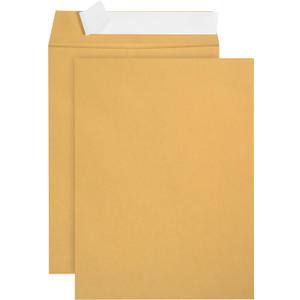 100 6 x 9 Self Seal Golden Brown Kraft Catalog Envelopes - Oversize 6 x 9 Envelope Peel and Seal Flap with 28 Pound Kraft Paper Envelopes - Printer Friendly Design - 100 Count
