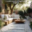 NUPICK 16lb White River Rocks for Outdoor Landscaping, 1-2 Inch Pebbles for Indoor Plants, Natural Polished Aquarium Gravel, Decorative Rocks for Succulent, Garden, Vases Fillers, Bird Baths