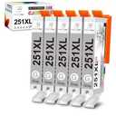 Miss Deer 251 Ink Cartridges Gray, Compatible Replacement for Canon 250 XL CLI-251XL GY PGI-250XL High Yield Work for Canon Pixma MG6320 MG7120 MG7520 iP8720 Printer 5-Pack (5 Grey)