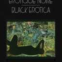 Erotique Noire/Black Erotica