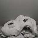 TWODRAPES 90 Inch Linen Blackout Curtains Pinch Pleated for Living Room Thermal Noise Reduction Two Layer 100% Black Out Curtains with Liner Back Tab Pinch Pleat Rings Hooks Window Drapes Track Ivory, Pack 2