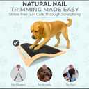 Dog Scratch Board for Nails – Dog Nail Scratch Pad with 2 Extra Sandpapers & Training Guide – Safe Dog Nail File Board for Natural Trimming – Dog Nail Board for All Sizes (Large 16.2in * 16.2in)