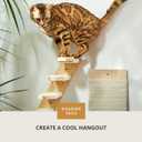 Cat Wall Shelves - Four Step Cat Shelf with Scratch Board, Mounted Cat Shelves, Sturdy Cat Wall Furniture for Indoor Cats