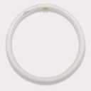 9 inch (FB681) T5 Circular Bulb Replacement for Zadro GLA, GLAW, SLWR, SLVR Makeup Mirror,22W Fluorescent Bulb,G10q 4 Pin Inward, 6500K Daylight Fluorescent lamp